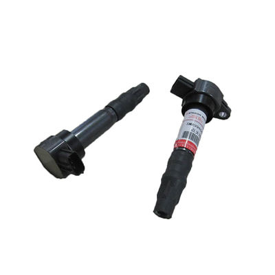 Auto Parts Ignition Coil OE NO. 3640100 para BYD F6 483Q para atender às exigências do cliente